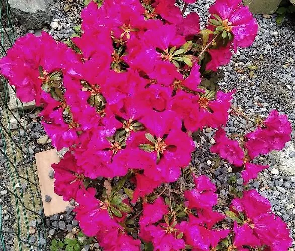 Bed & Breakfast Il Martello